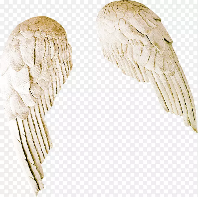 ��ǽֽ-�ٳ��-������