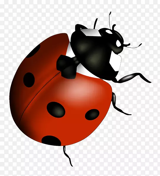 �׳�Ů�������-�׳�-������