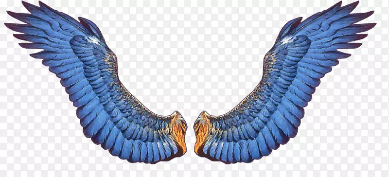 ����΢��gif����ʦgif����-roap-������