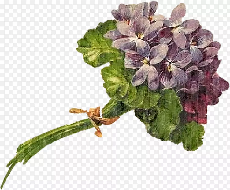 �л�������������-������