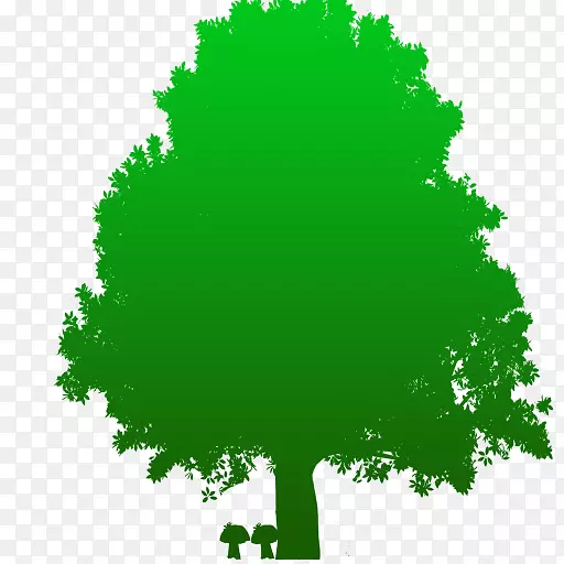 ��ԲҶ������-������