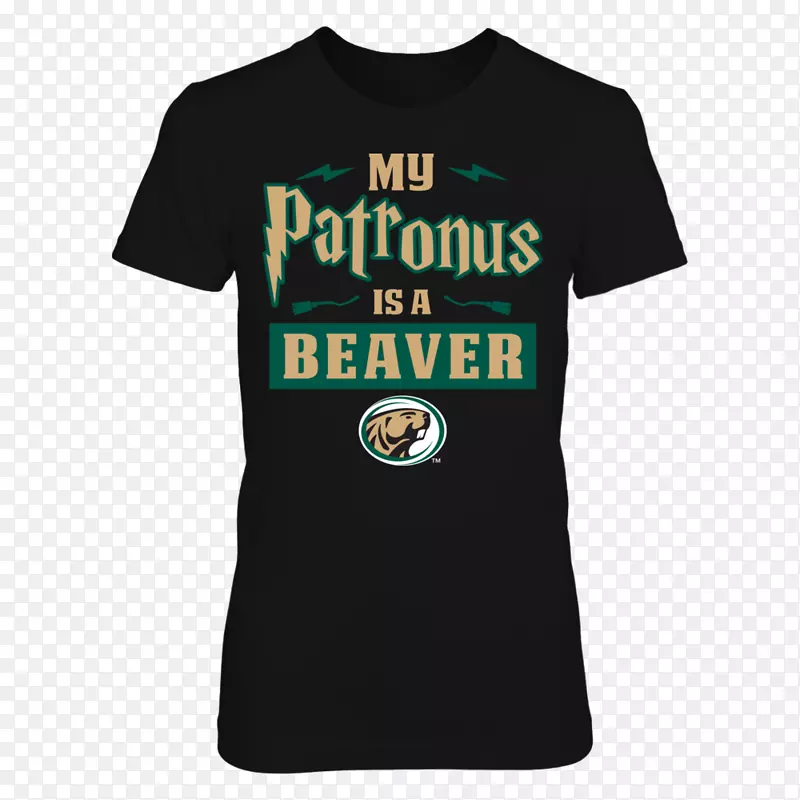 t��������ñ��t��-������