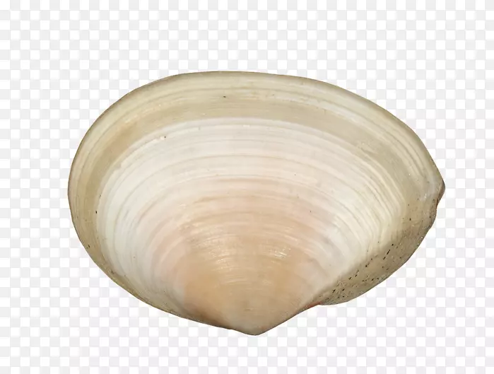 ���ڻ��;�-������