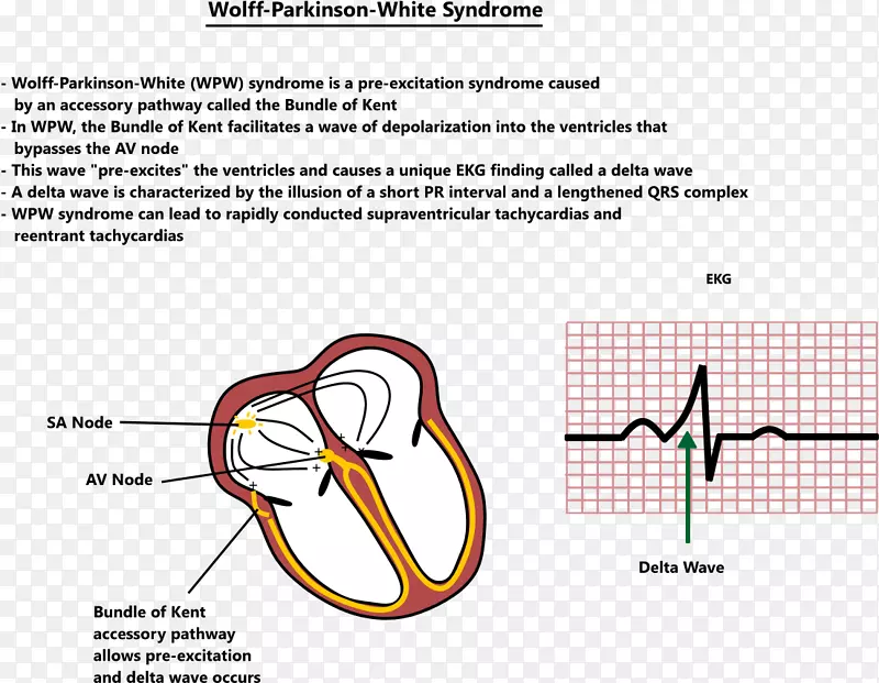 �߽����-������