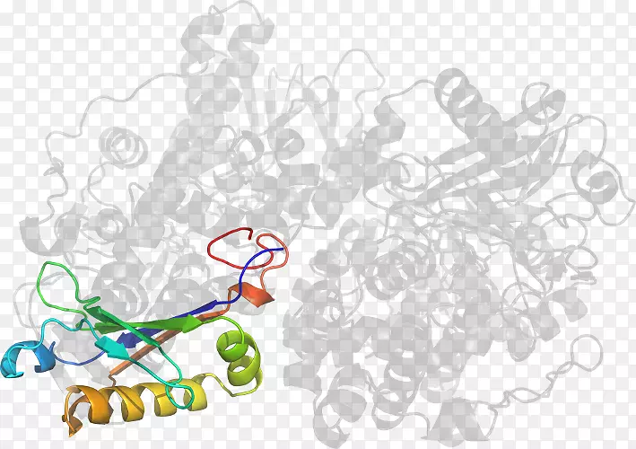 ��ľ������-��-������