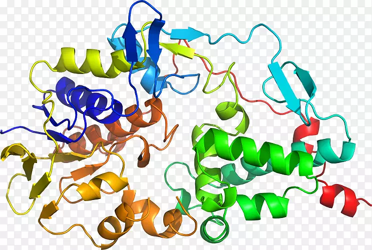 ���������л����߼�������-������