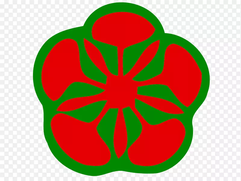 ���꿪��ֲ��Ҷ������-������