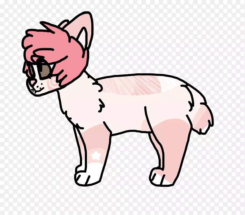 ���롢����è���������ӡ���-������