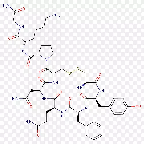 ֱ�ߵ����-������