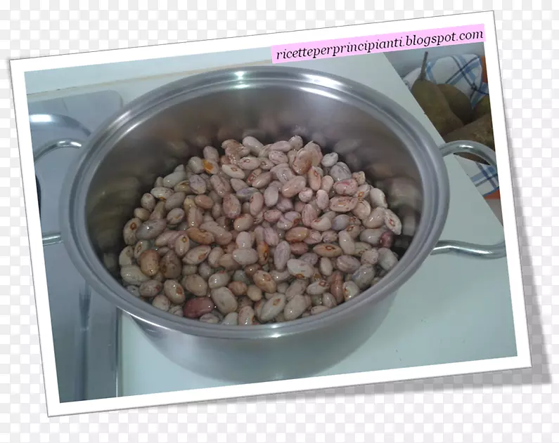 ��˹����������ʳ������-ר��-������