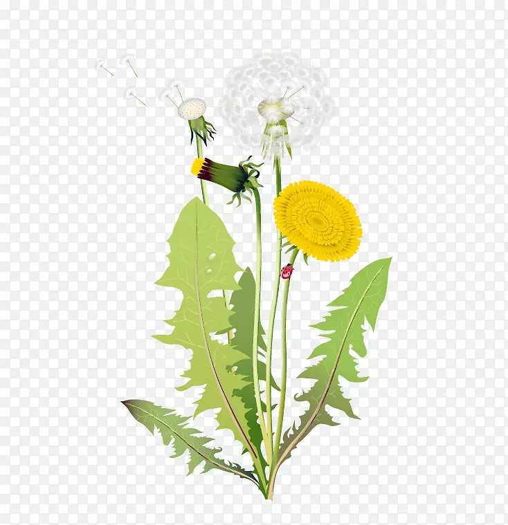 ������-����Ҷ�ѹ�Ӣ-������