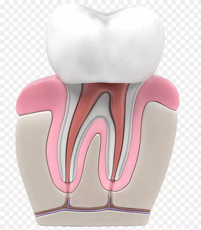 ������������ѧ����-������