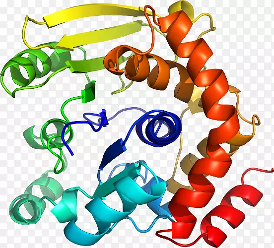 �����鱦���л����������-������