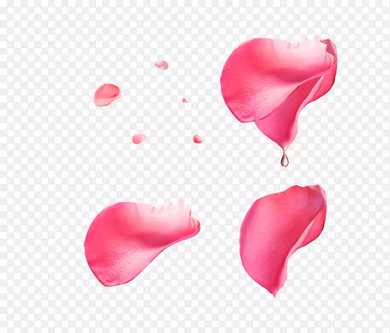 ��̲õ���������㱣���򻨰�-����ˮ��ͼ��Ԫ��-������