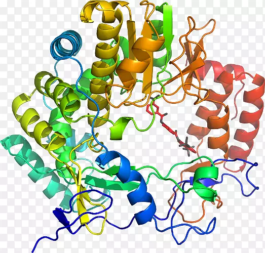 ���������л����߼�������-������