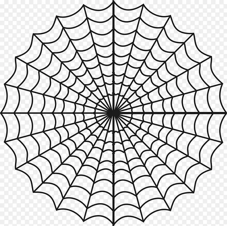 ֩���������ص�����ɫ��-֩��-������