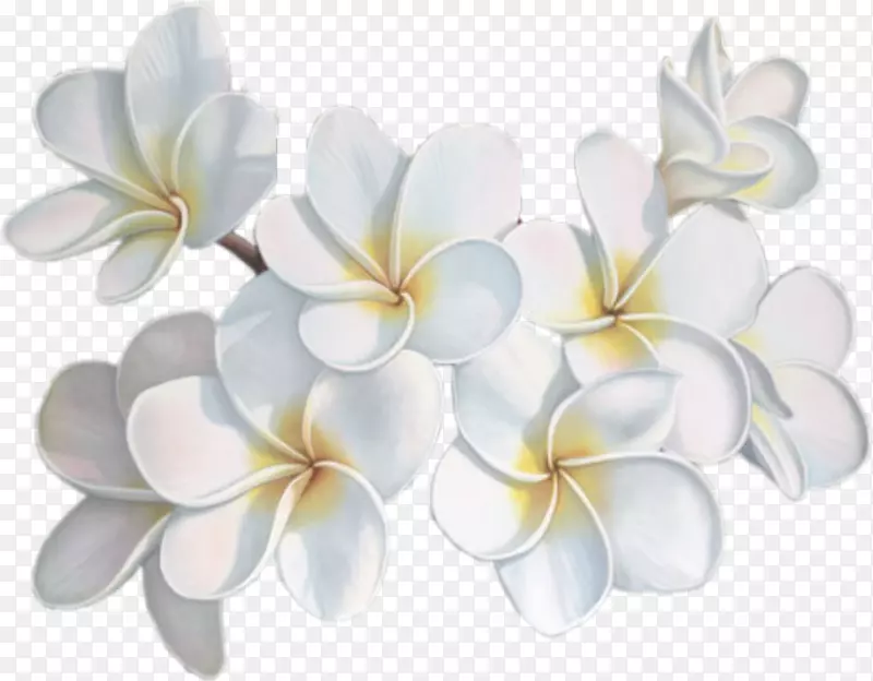 �����ͻ���-�׻�-������