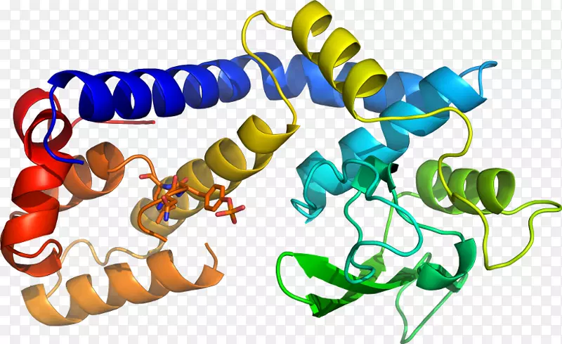 ���������л����߼�������-������