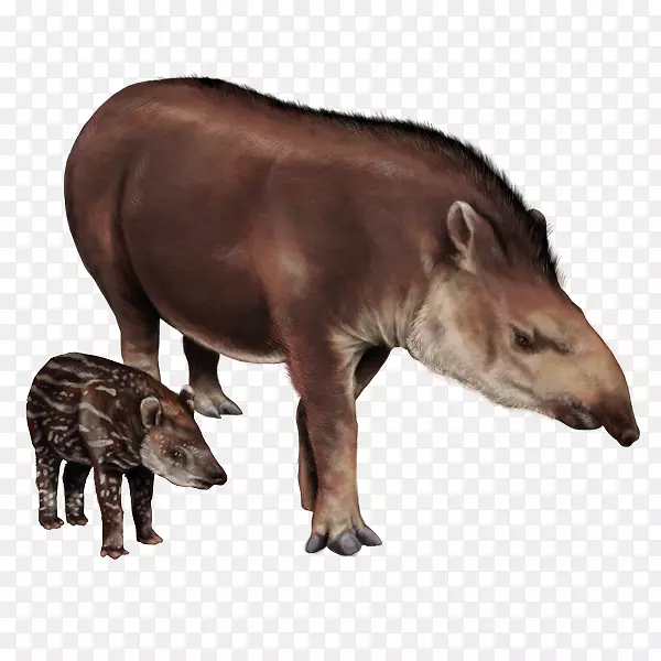 ��ձ��½������Ұ������.��ձ-������