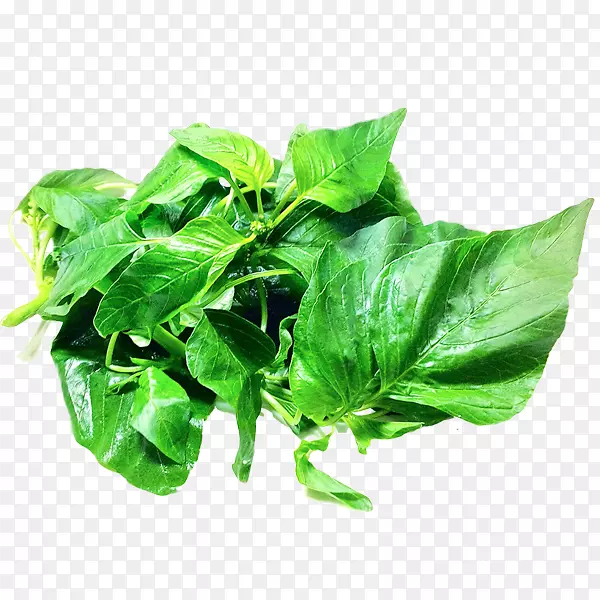 ����-�߲�-������