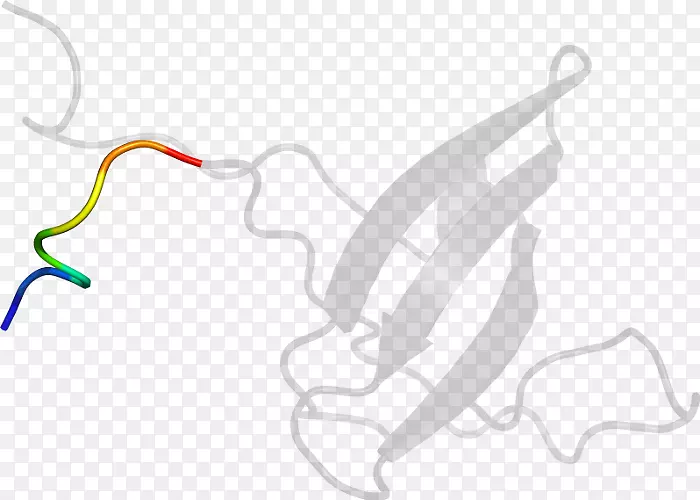 ��ɫ���-������