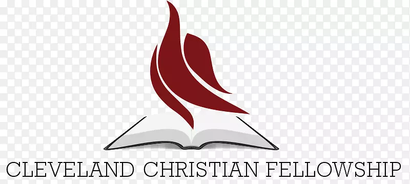 �̱������ֽ�������-������