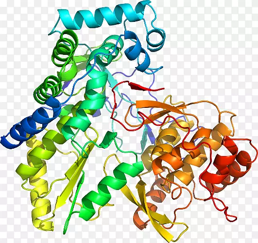 ���������л����߼�������-������