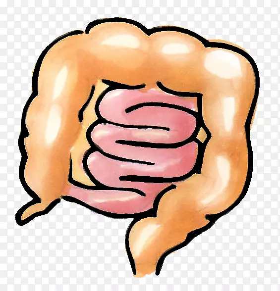 ����������Ϊ�����л���б�-������