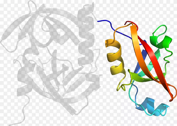 ƽ����Ƽ�����.���-������