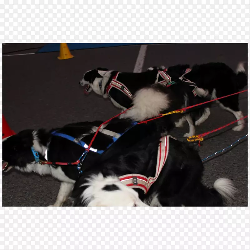 ������-��-������