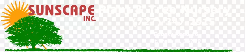 �����ֽ����������-������