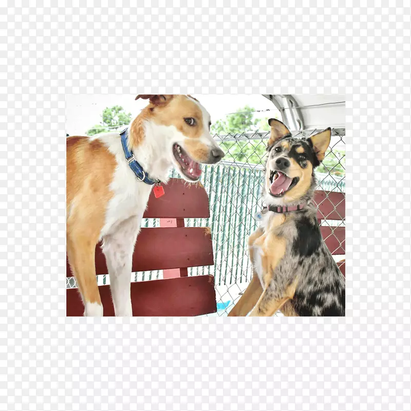 Ȯ��-������