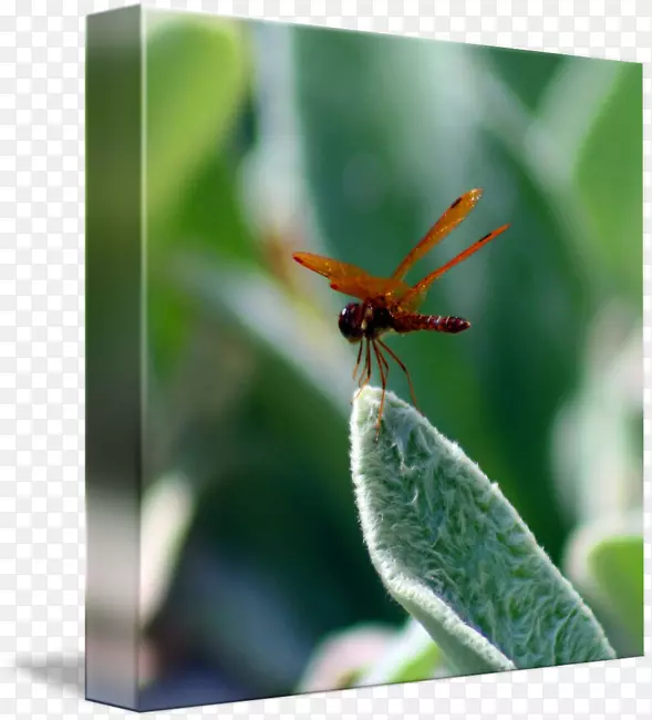 ������������������-������