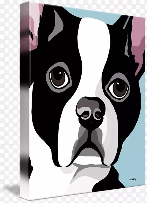 ��ʿ����Ȯ��ֳ�Ĵ�������Ȯ���˶����岨ʿ����Ȯ-������