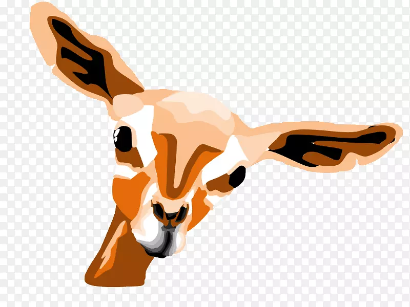 Ȯ�ƹ�������Ӽ�������-������