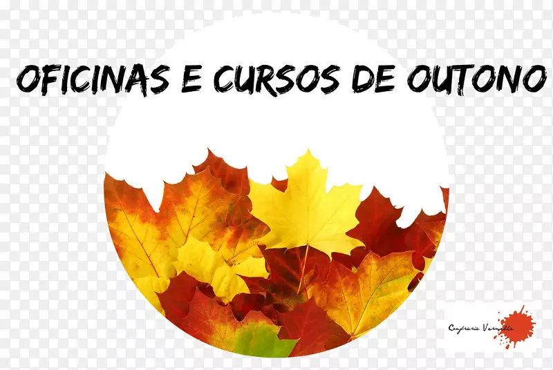 ��β�Ʋ���Lemes o Paulo Instagram Melissa-Outono-������