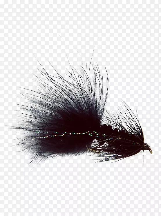 �����Ӭ��ë���ף�������С���ӣ����棬����Ӭ��ë����-������