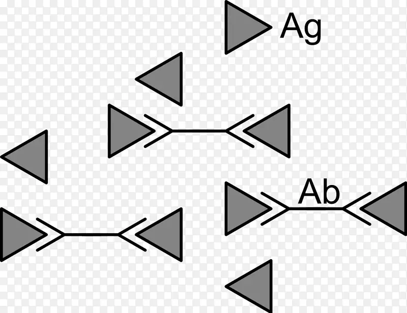 �����ΰ׵�������������-������