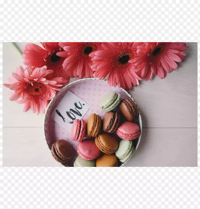 ĸ�׽��������˽ڰ���-ĸ�׽�-������