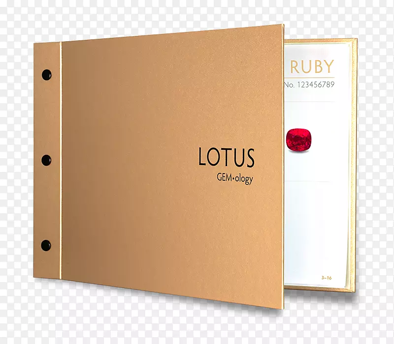 ������ʯʵ������֤-��ʯ-������