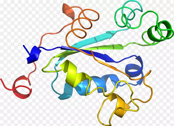 �ߵ�����Ʒ�л����������-������