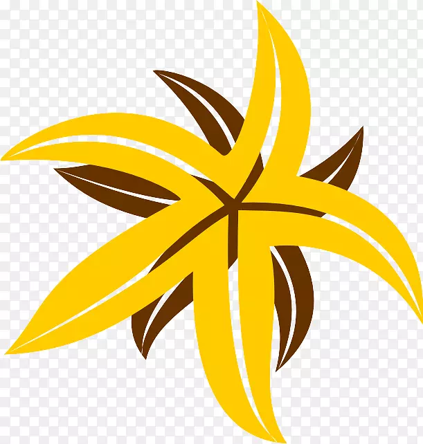 Ҷ����ֲ�ﾥ�������Ҷ-������