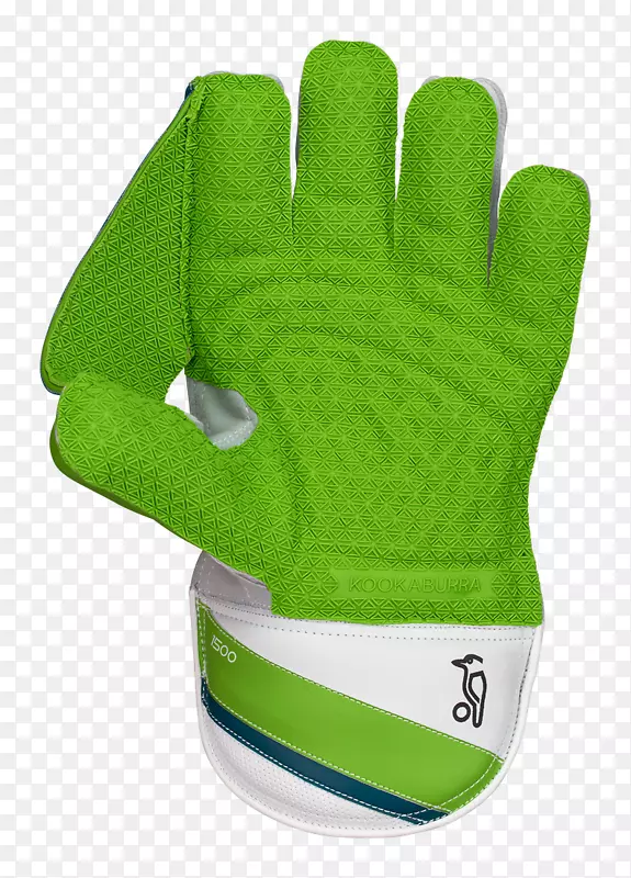 Ӣ�������������Ա���׻������-������