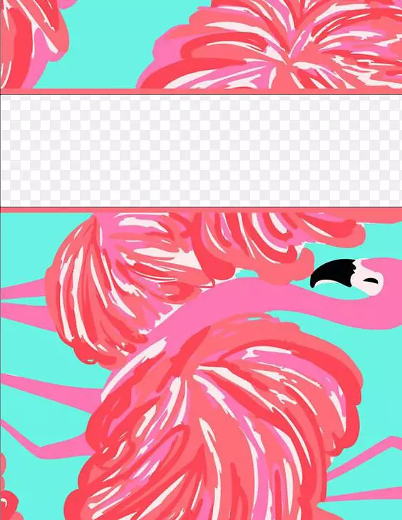 ģ����֯ѧУ����ҳ��ѩ������˾-�����-������