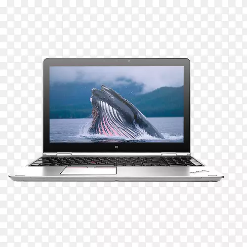 �ʼǱ���������ThinkPad�ʼǱ�-������