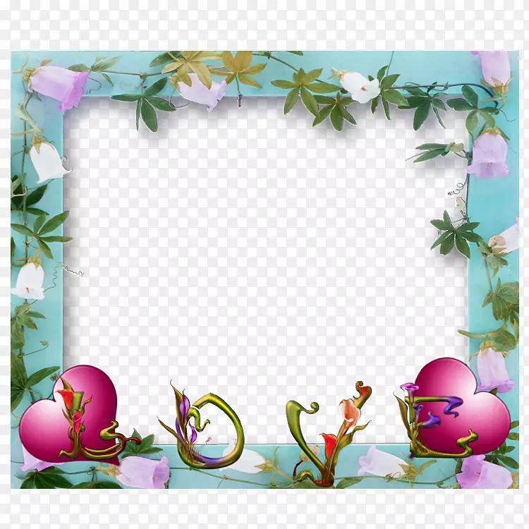 ����Ԥ��-������-������