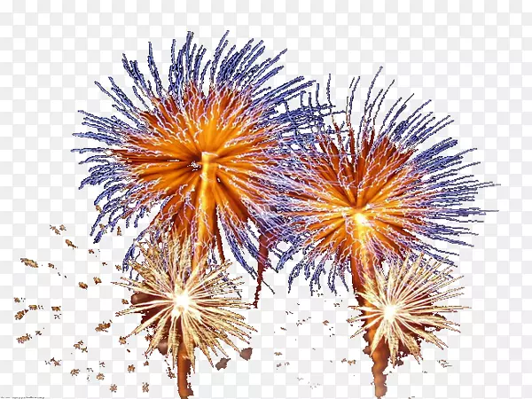 �̻���Ӱ���ɼ�����.�̻�-������