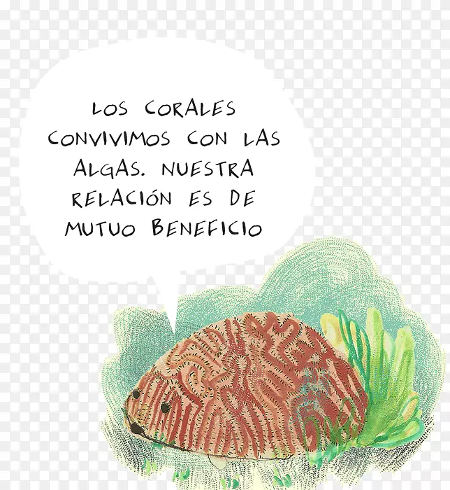 ��������-ɺ��-������