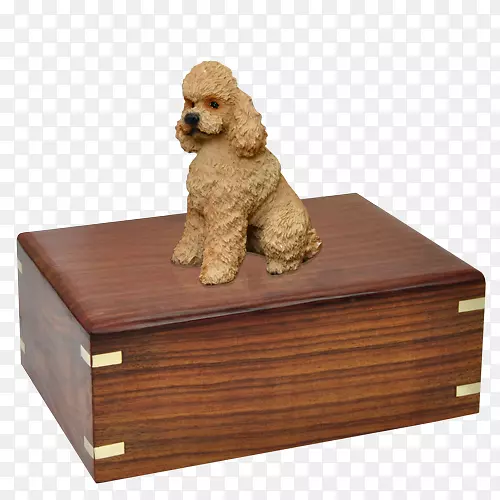 ��������Ȯ��-������