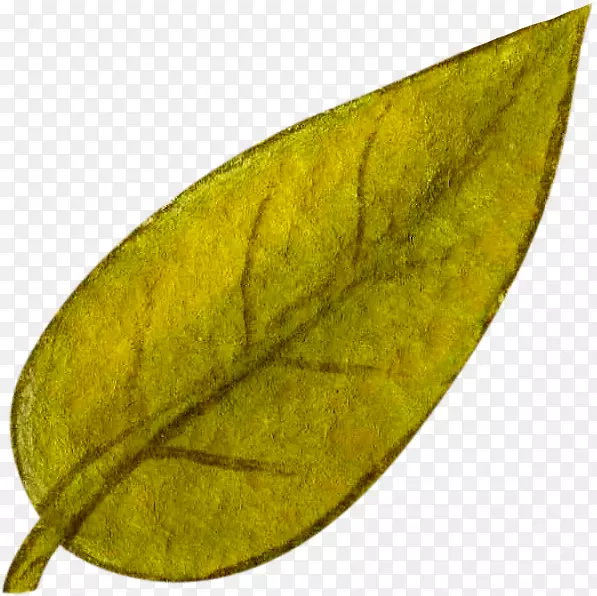 ��Ҷ����ˮ�ʻ�ֽˮ�ʻ���Ҷ-������